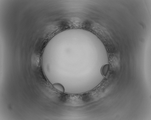 X0000112490709200908311432