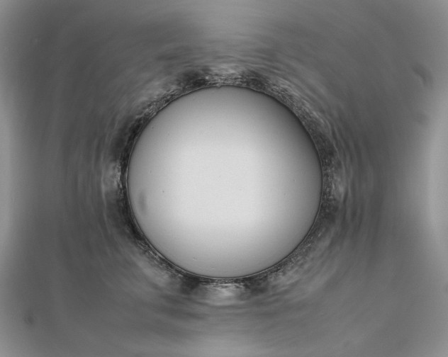 X0000112490711200908311432