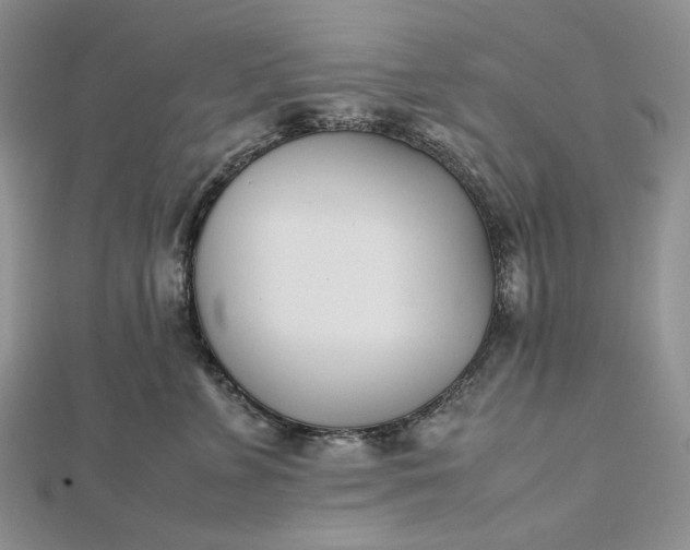 X0000112490715200908311432