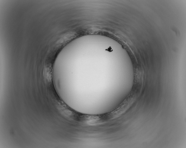 X0000112490719200908311432