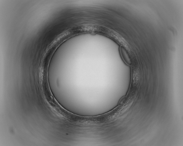 X0000112490722200908311431