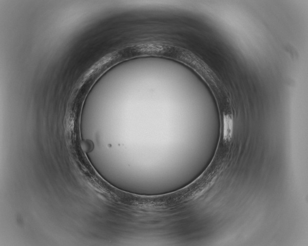 X0000112490723200908311431