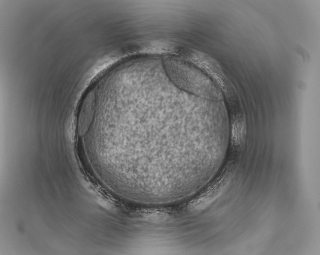 X0000112490724200908311431