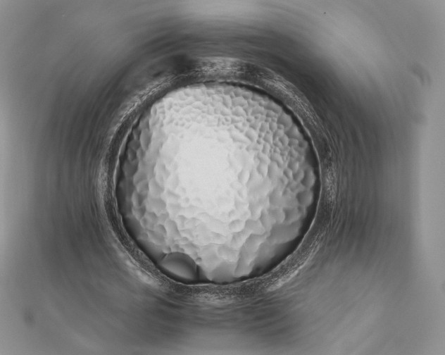 X0000112490725200908311431