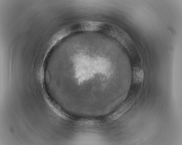 X0000112490726200908311431