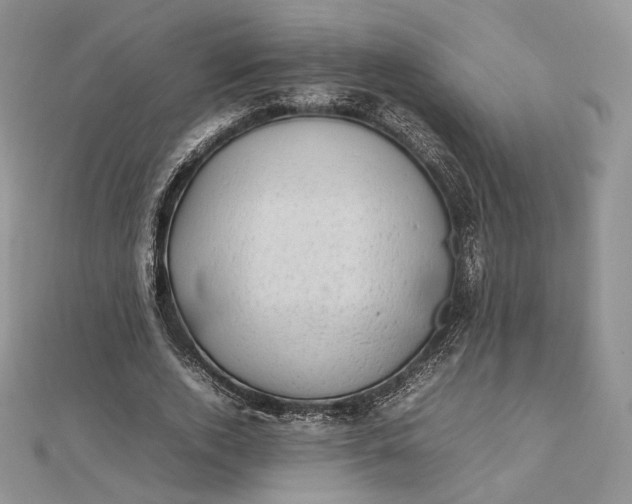 X0000112490728200908311431