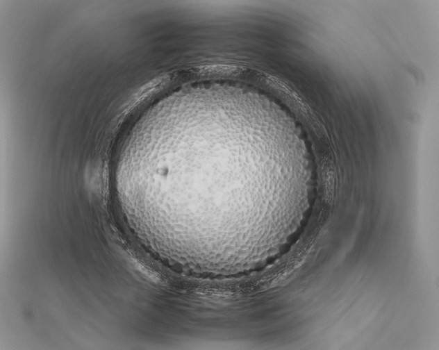 X0000112490729200908311431