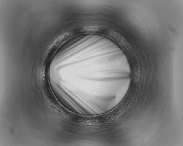 X0000112490731200908311431