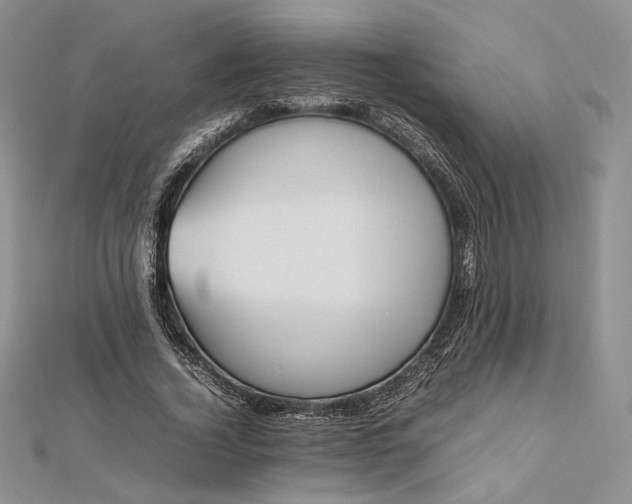 X0000112490732200908311431