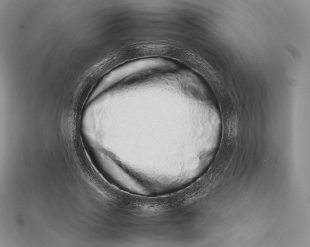 X0000112490733200908311431