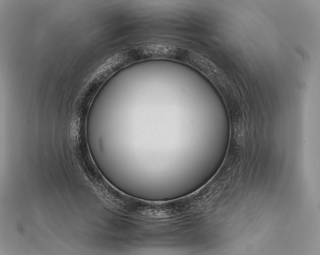 X0000112490735200908311431