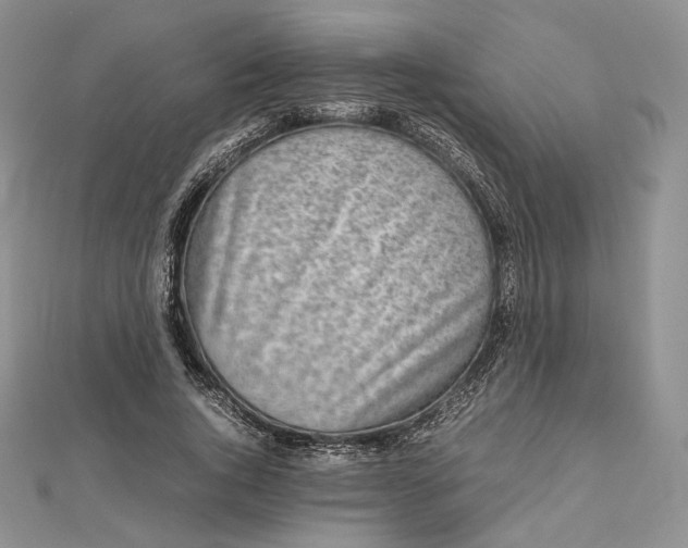 X0000112490736200908311431