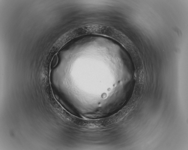 X0000112490737200908311431