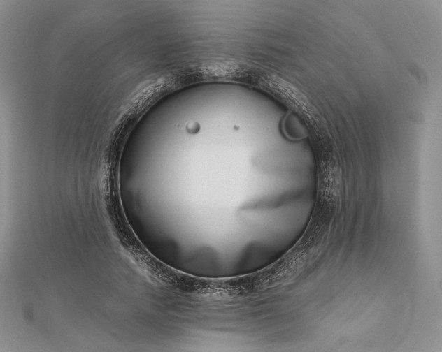 X0000112490738200908311431