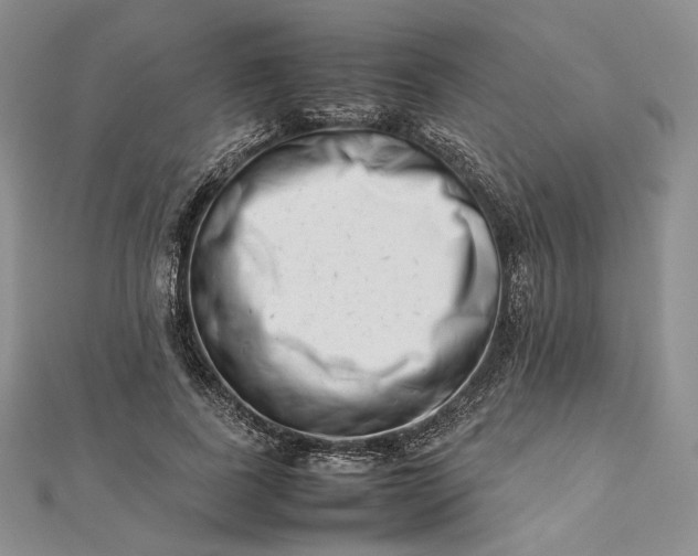 X0000112490739200908311431