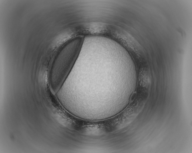 X0000112490740200908311431