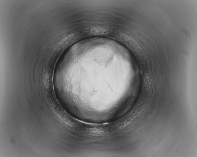 X0000112490741200908311431