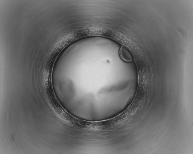 X0000112490742200908311431