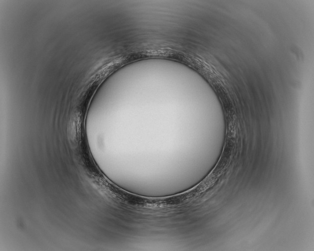 X0000112490744200908311431