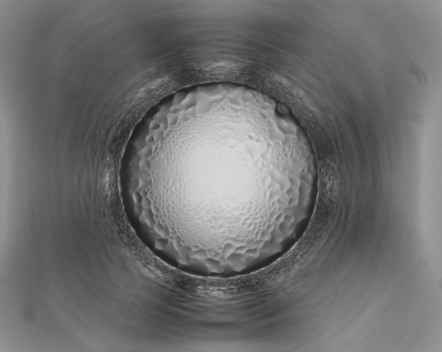 X0000112490745200908311431