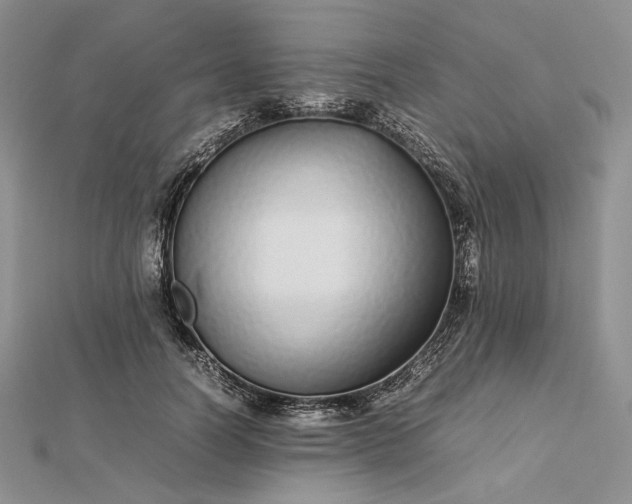 X0000112490746200908311431