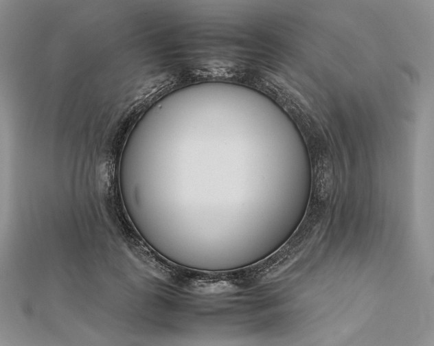 X0000112490747200908311431