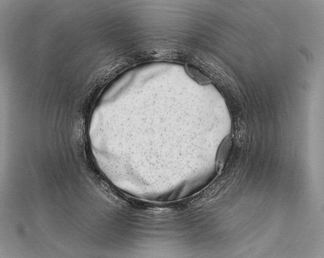 X0000112490748200908311431