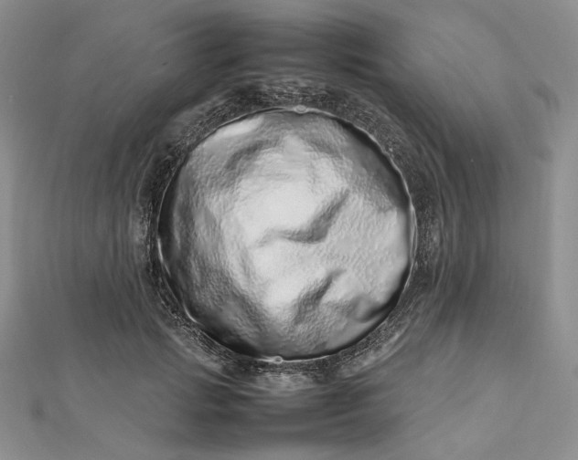 X0000112490749200908311431