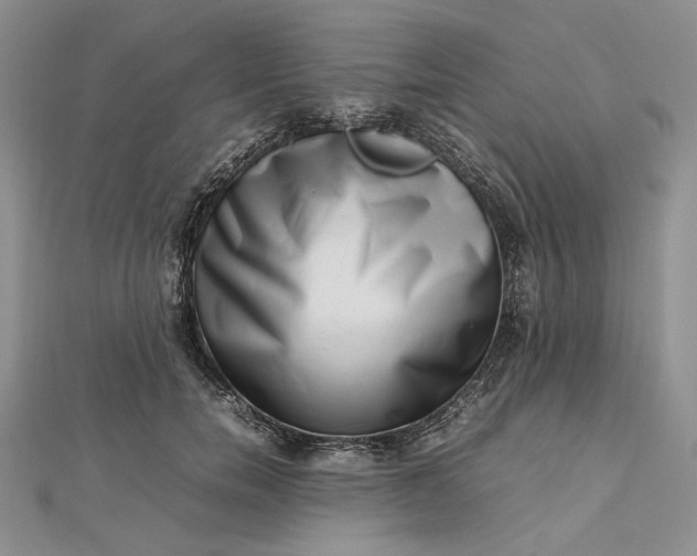 X0000112490750200908311431