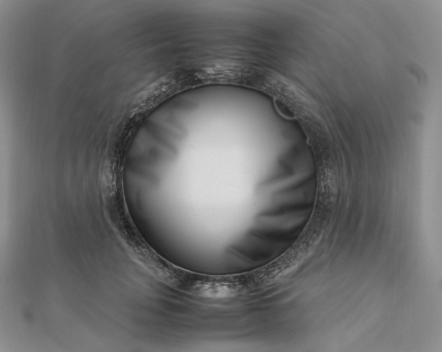 X0000112490751200908311431