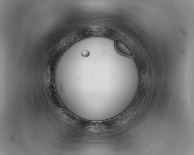 X0000112490752200908311431