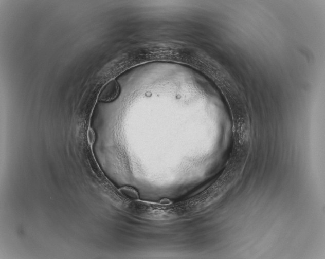 X0000112490753200908311431