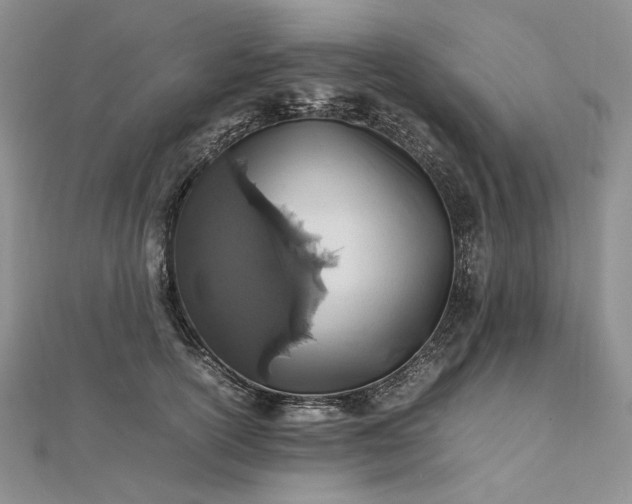 X0000112490754200908311431