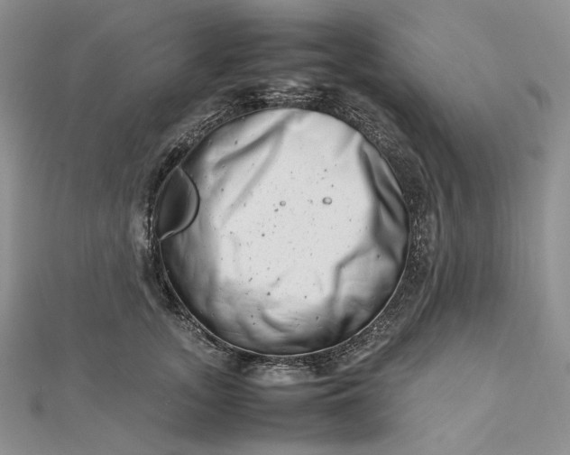 X0000112490755200908311431