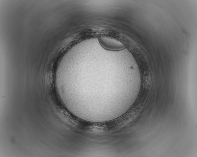 X0000112490756200908311431