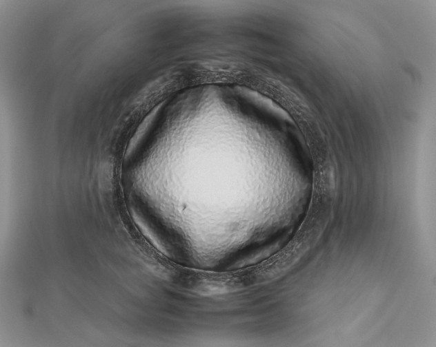 X0000112490757200908311431