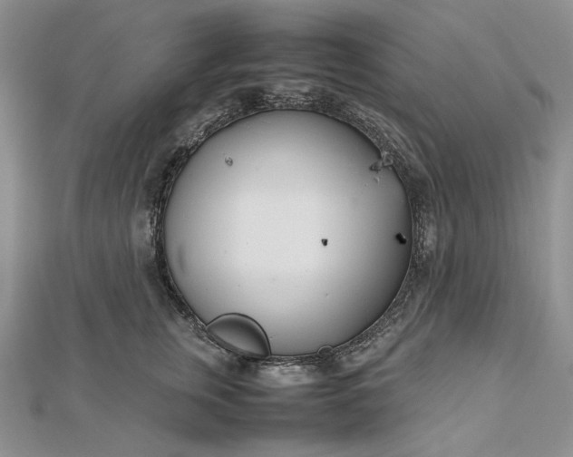 X0000112490759200908311431