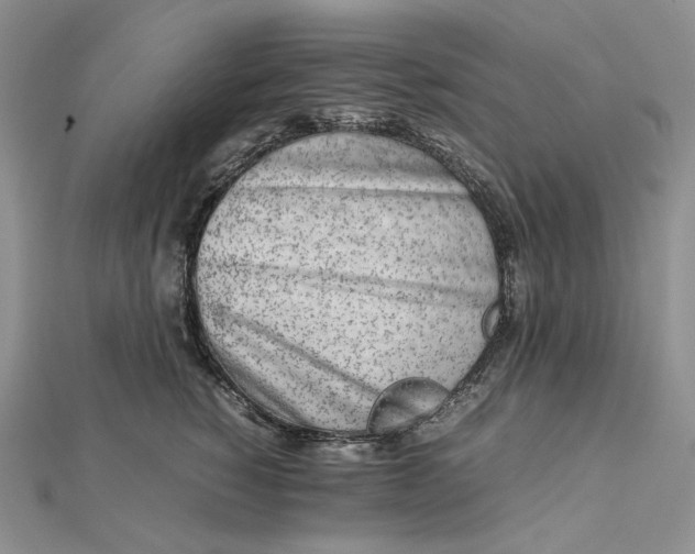 X0000112490760200908311431