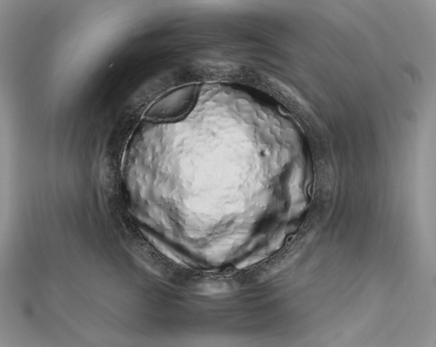 X0000112490761200908311431