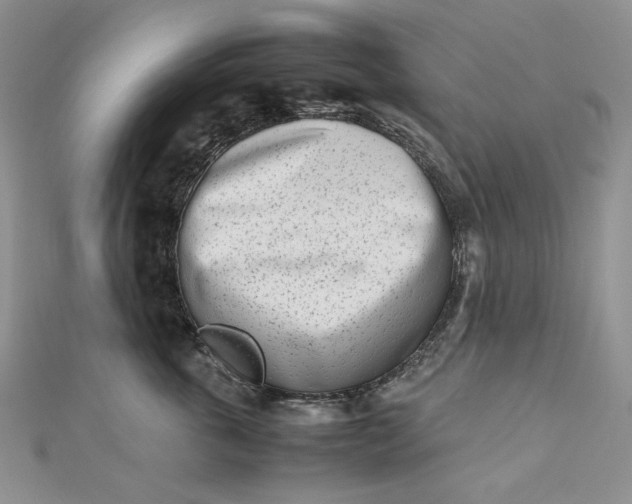 X0000112490763200908311431