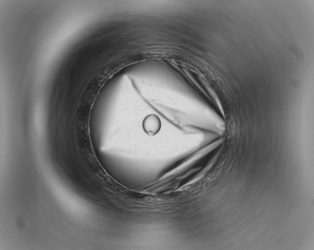 X0000112490764200908311431