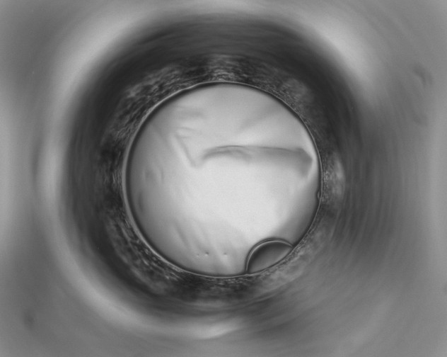 X0000112490765200908311431