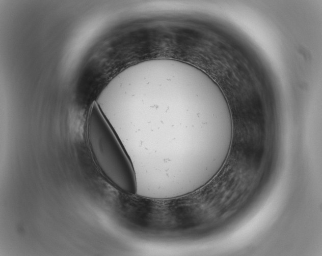 X0000112490766200908311431