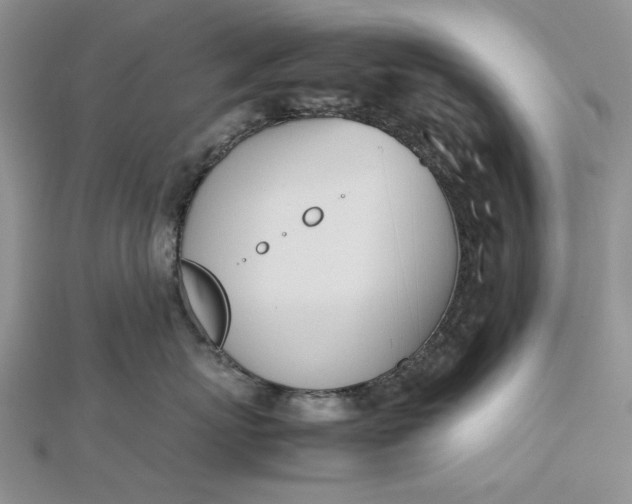 X0000112490767200908311431