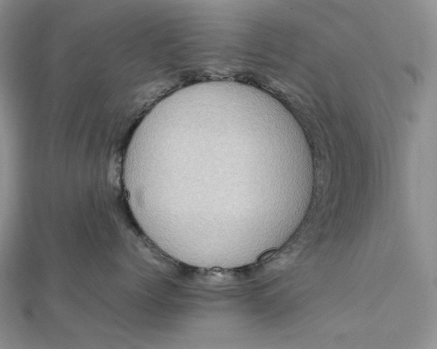 X0000112490768200908311431