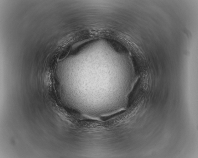 X0000112490770200908311431