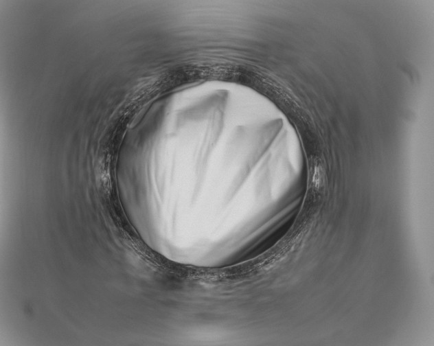 X0000112490771200908311431