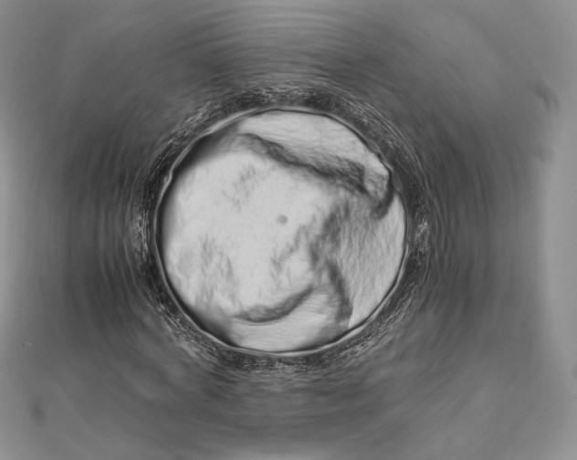 X0000112490772200908311431