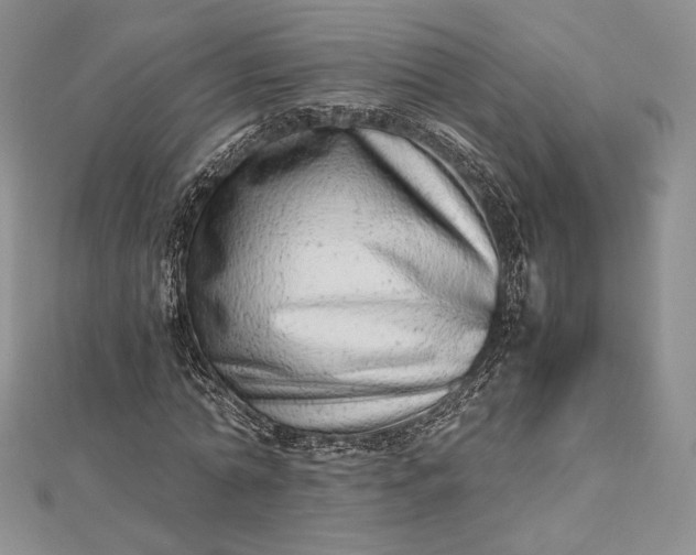 X0000112490774200908311431