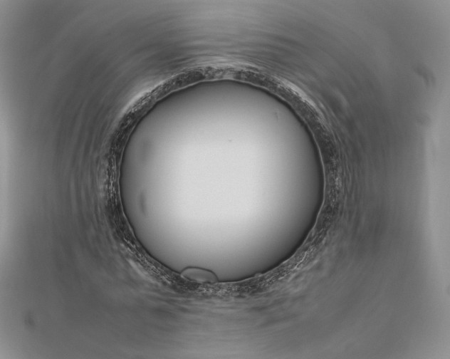 X0000112490775200908311431